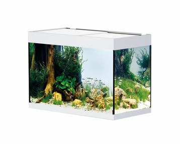 Oase StyleLine 175 Wit - Aquarium, Dieren en Toebehoren, Ophalen of Verzenden, Nieuw
