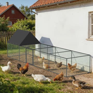 Ruime Metalen Kippenren 319cm - Walk-in Kippenhok met Dak en, Dieren en Toebehoren, Verzenden, Nieuw