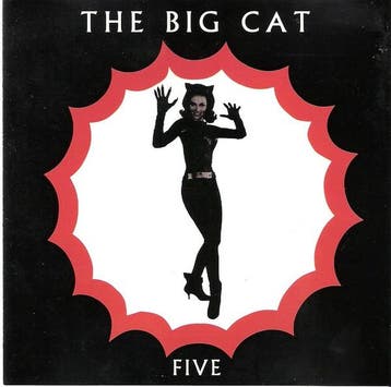 cd - Various - The Big Cat Five, Verzenden, Zo goed als nieuw