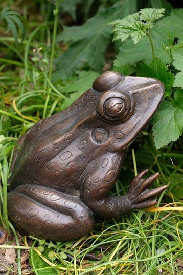 sculptuur, Charming Frog - 2.6 kg - 15 cm - Brons