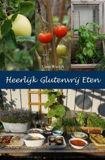 9789402124279 Heerlijk Glutenvrij Eten | Tweedehands, Boeken, Verzenden, Zo goed als nieuw, Liane Wiedijk