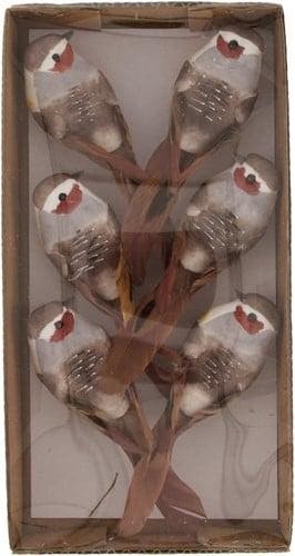 Vogeltjes op clip Donkerbruin 12,5x3,5x3,5 cm 6 stuks, Hobby en Vrije tijd, Ophalen of Verzenden, Nieuw