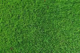 Verse Graszoden & Grasmatten  Topkwaliteit Noord Nederland, Ophalen of Verzenden, Nieuw, Gras