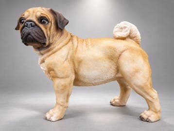 Beeld, staande mops hond bruin - 35 cm - polyresin