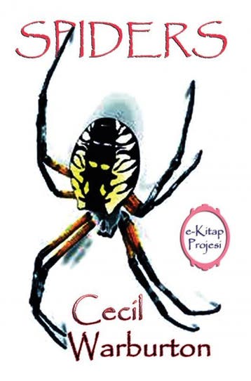 Spiders | Cecil Warburton | Nieuw, Boeken, Ophalen of Verzenden, Nieuw, Cecil Warburton