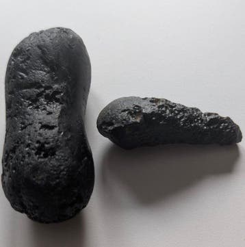 Indochiniet tektiet Vrije vorm - Hoogte: 75 mm - Breedte: 28