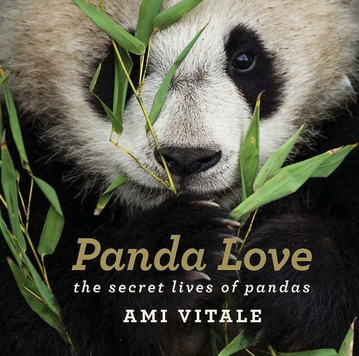 Panda Love - Ami Vitale 9781784881276, Boeken, Taal | Engels, Gelezen, Verzenden