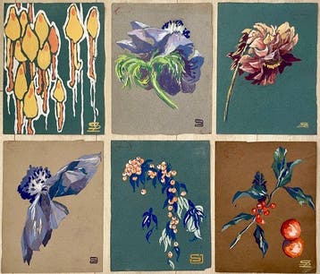Jean-Gabriel Séruzier (1905-1994) - Études botaniques