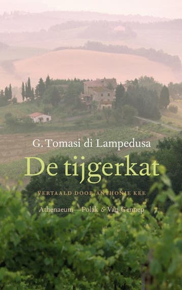 De tijgerkat - G. Tomasi di Lampedusa 9789025331504, Verzenden, Zo goed als nieuw, G. Tomasi di Lampedusa