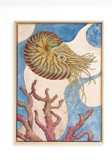Hanna Werkowicz - Nautilus