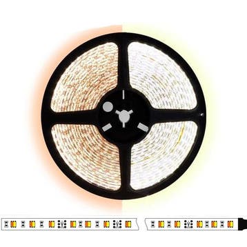 5 meter CCT (Dual white) led strip DUAL LED - 60Leds/m - 12V, Ophalen of Verzenden, Nieuw