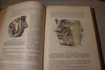 L. Testut; O. Jacob; S. Dupret - Traité danatomie
