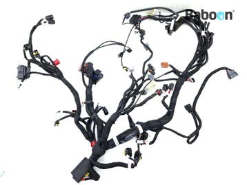 Kabelboom MV Agusta Dragster 800 RC 2022 (8000c8783_A), Verzenden, Gebruikt
