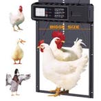 Automatische Kippenhok Deur met Timer en Display, Verzenden