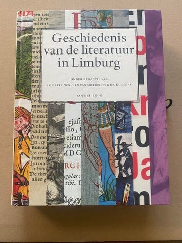 Geschiedenis van de Literatuur in Limburg - NIEUW - 767 blz., Verzenden, Zo goed als nieuw, Nederland