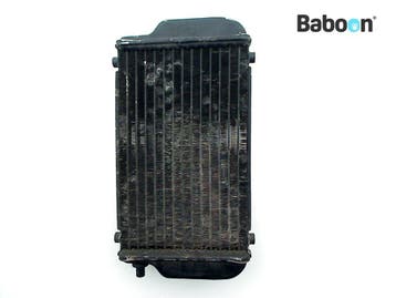 Radiateur Kawasaki EL 250 Eliminator 1991-1996 (EL250E), Motoren, Verzenden, Gebruikt