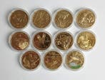 Slowakije. 5 Euro 2021/2026 (11 coins) incl. Turtle (Zonder
