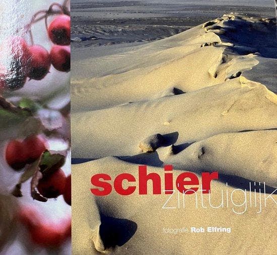 Schier Zintuiglijk, Boeken, Literatuur, Ophalen of Verzenden