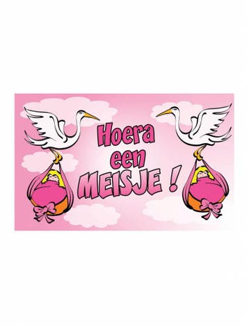 Geboortevlag Hoera een meisje, Ophalen of Verzenden, Nieuw