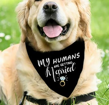 Honden bandana My Humans are getting Married, Ophalen of Verzenden, Nieuw