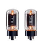 TAD 6L6 WGC STR/2 Duet versterkerbuizen, Verzenden, Nieuw