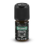 Beauty & Care Kruizemunt etherische olie 20 ml.  new, Ophalen of Verzenden, Nieuw, Aroma