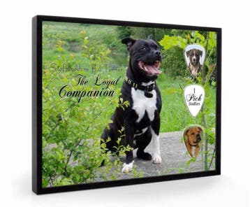 Staffordshire Bull Terrier hond plectrumdisplay, Verzamelen, Ophalen of Verzenden, Nieuw, Hond of Kat, Overige typen