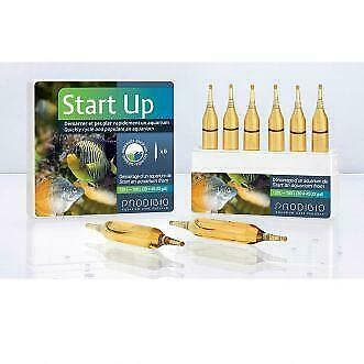 Prodibo START UP 30 Amp., Ophalen of Verzenden, Nieuw