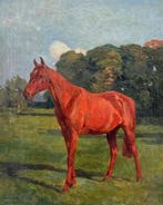 R. Schmidt (XIX-XX) - Caravelle - portrait of a horse