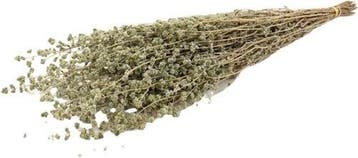 Oregano Marjorana droogbloemen in hoes Bundel 88 gram, Ophalen of Verzenden, Nieuw