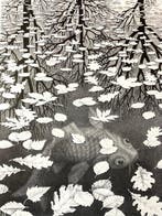M.C. Escher (1898-1972) - Three Worlds (1955)