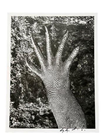 Sebastião Salgado (1944–2025) - Genesis - Iguane marin,