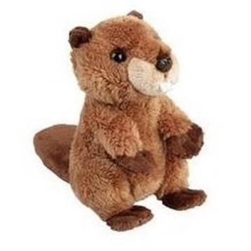 Ravensden bever knuffel - pluche - bruin - 15 cm, Kinderen en Baby's, Speelgoed | Knuffels en Pluche, Verzenden, Nieuw