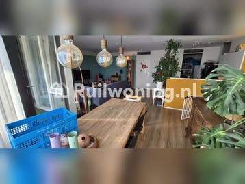 Haarlem flat zoekt ruimer huis in Haarlem, Amsterdam