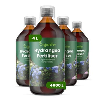 Hortensia Vloeibare meststof - 4x1 liter, Tuin en Terras, Verzenden, Mest