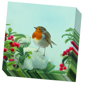 Servetten: A Robin’s Winter, Elwin van der Kolk,, Ophalen of Verzenden, Nieuw
