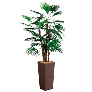 Rhapis Palm kunstplant, H185cm, Huis en Inrichting, Ophalen of Verzenden, Palm, 150 tot 200 cm