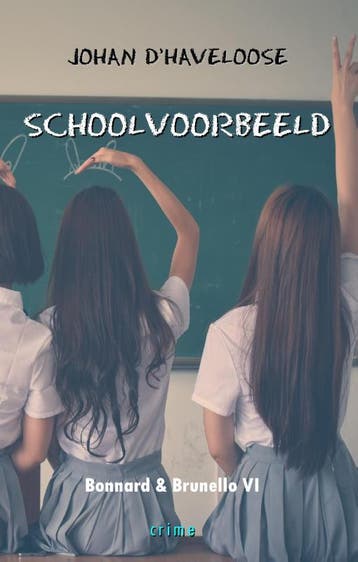 Schoolvoorbeeld / Bonnard & Brunello thriller / 6, Boeken, Verzenden, Gelezen, Johan D' HAVELOOSE