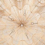 The Whipped hanger - Naturel - XXL, Verzenden, Nieuw