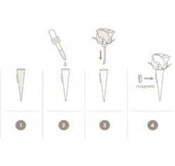 Corsagehouder Boutonnière Flowerdarte Zwart doos 10 stuks, Ophalen of Verzenden, Nieuw