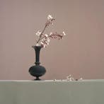 Ursula van de Bunte - When Blossoms Falls