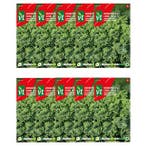 Boerenkool zaad | VT | 10 stuks, Verzenden