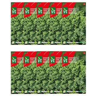 Boerenkool zaad | VT | 10 stuks, Tuin en Terras, Bloembollen en Zaden, Verzenden