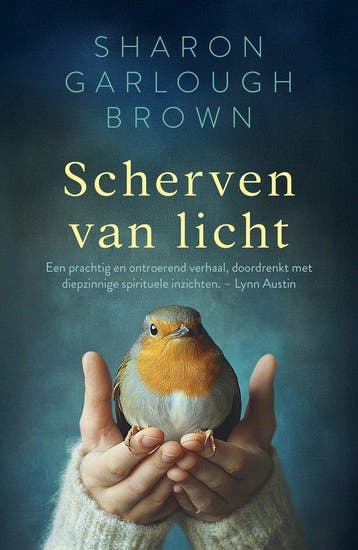 9789029739320 Scherven van licht 1 - Scherven van licht, Verzenden, Nieuw, Sharon Garlough Brown