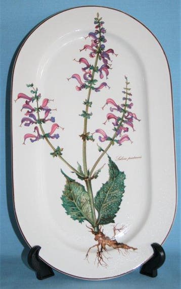 Villeroy & Boch - Meadow sage (Salvia pratensis) -