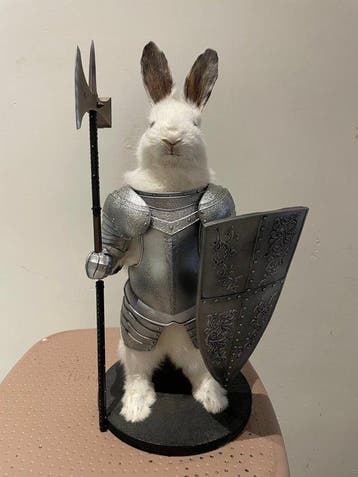 Konijnridder Taxidermie volledige montage - taxidermy
