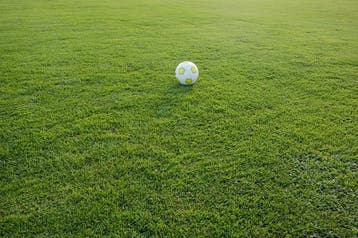 Verse Graszoden & Grasmatten  Topkwaliteit Noord Nederland, Ophalen of Verzenden, Nieuw, Gras