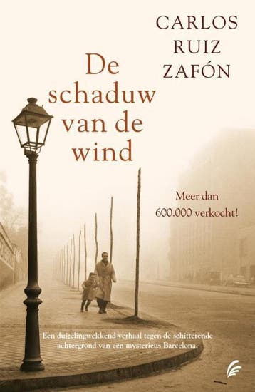 Het Kerkhof der Vergeten Boeken 1, Boeken, Verzenden, Gelezen