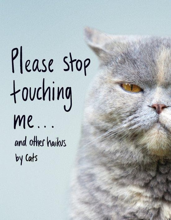 Please Stop Touching Me and Other Ha 9781787632677, Boeken, Taal | Engels, Zo goed als nieuw, Verzenden