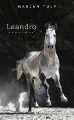 Leandro 9789082109504 Marjan Tulp, Verzenden, Zo goed als nieuw, Marjan Tulp